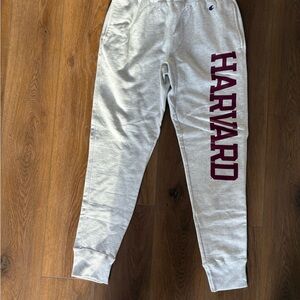 Champion Gray Sweatpants